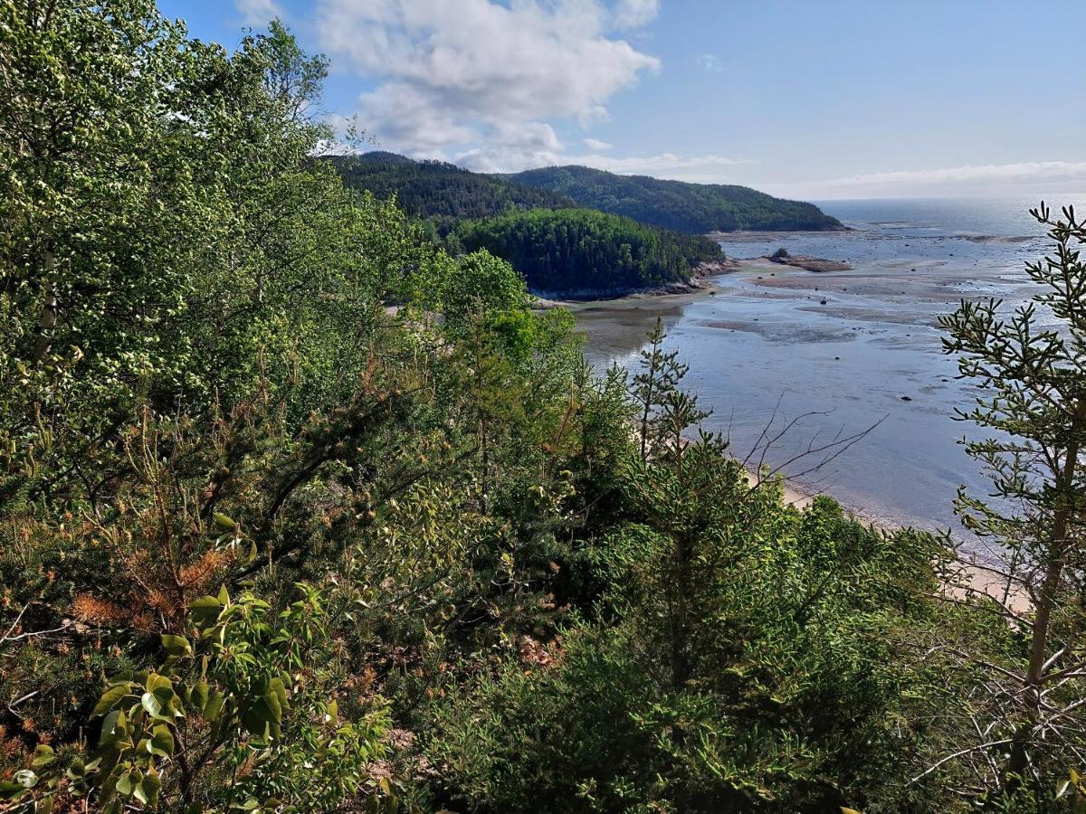 La Nef Bleue Villa Tadoussac Dış mekan fotoğraf
