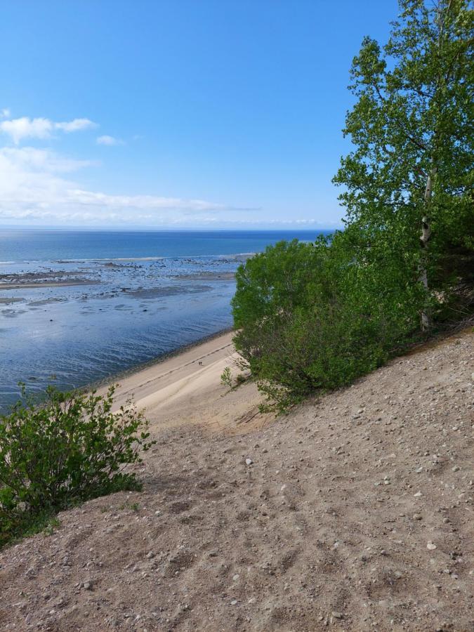La Nef Bleue Villa Tadoussac Dış mekan fotoğraf